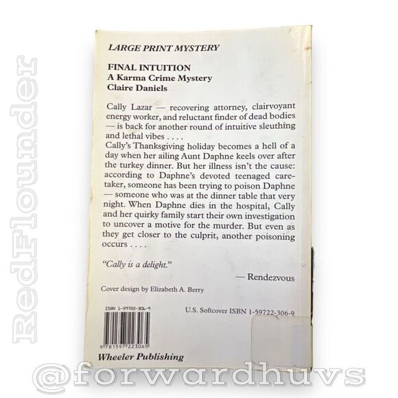 Final Intuition - A Karma Crime Mystery (Large Print Paperback) - Picture 3 of 13
